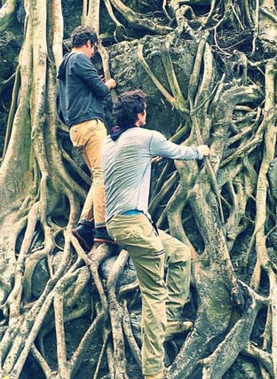 NATURE